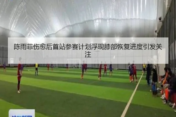 陈雨菲伤愈后首站参赛计划浮现膝部恢复进度引发关注