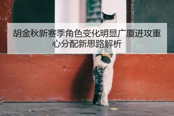 胡金秋新赛季角色变化明显广厦进攻重心分配新思路解析